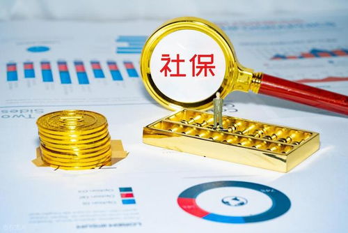 社保錢(qián)袋子誰(shuí)掏空？強(qiáng)制繳費(fèi)究竟保護(hù)誰(shuí)？企業(yè)最終僅認(rèn)這一招